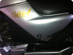 Linker Seitendeckel der YBR 125