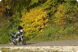 Yamaha YBR 125 mit herbstlichem Hintergrund