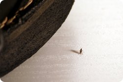 Wollte mit auf's Bild?